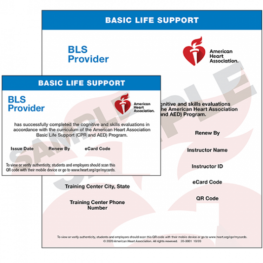 Basic Life Support (BLS)